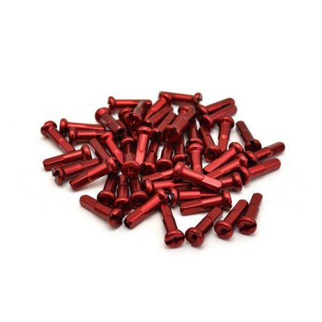 PACK DE TETES DE RAYONS RANT RED (X40)